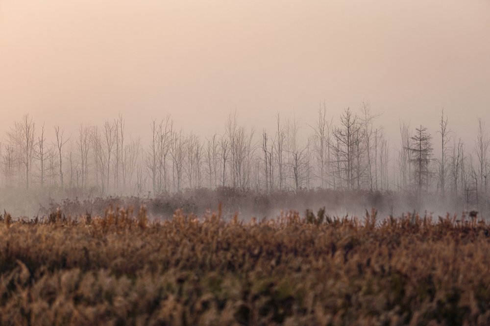 Photograph by Sergey Uskov