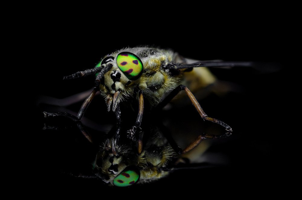 Photograph by Денис Белов