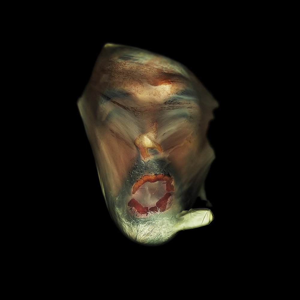 METAMORPHOSIS (250 gr every year)