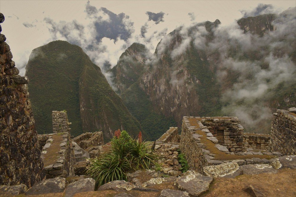 Photograph by Alfredo Jacquemard