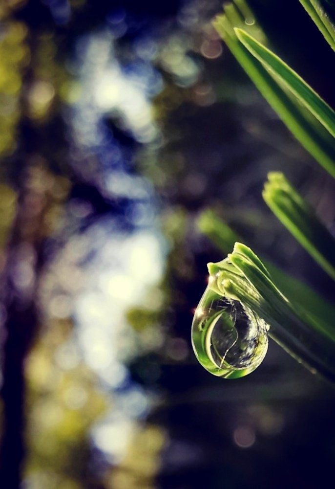 Photograph by Александр Разумов