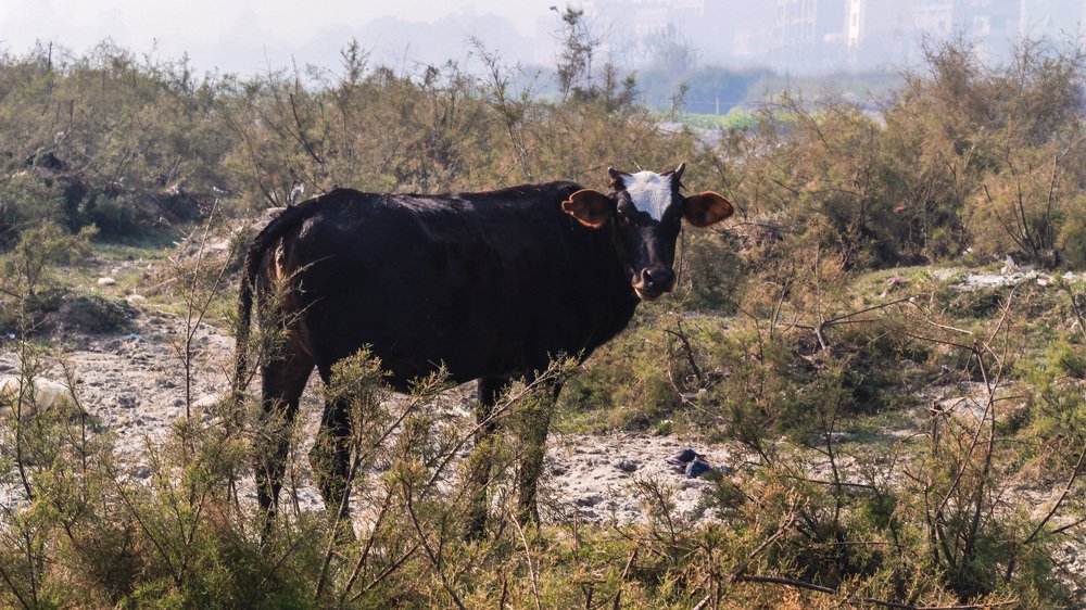 Photograph by Wajiha Haider