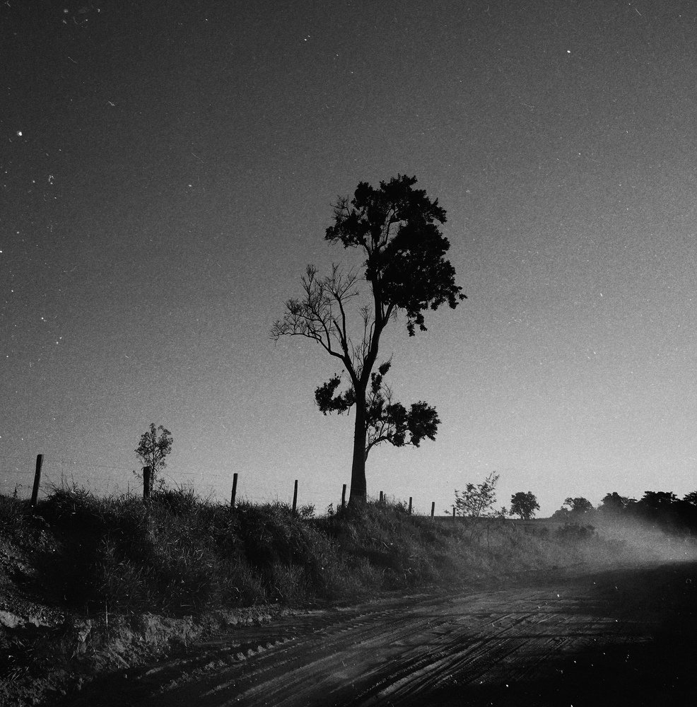 Photograph by Victor Giannotti