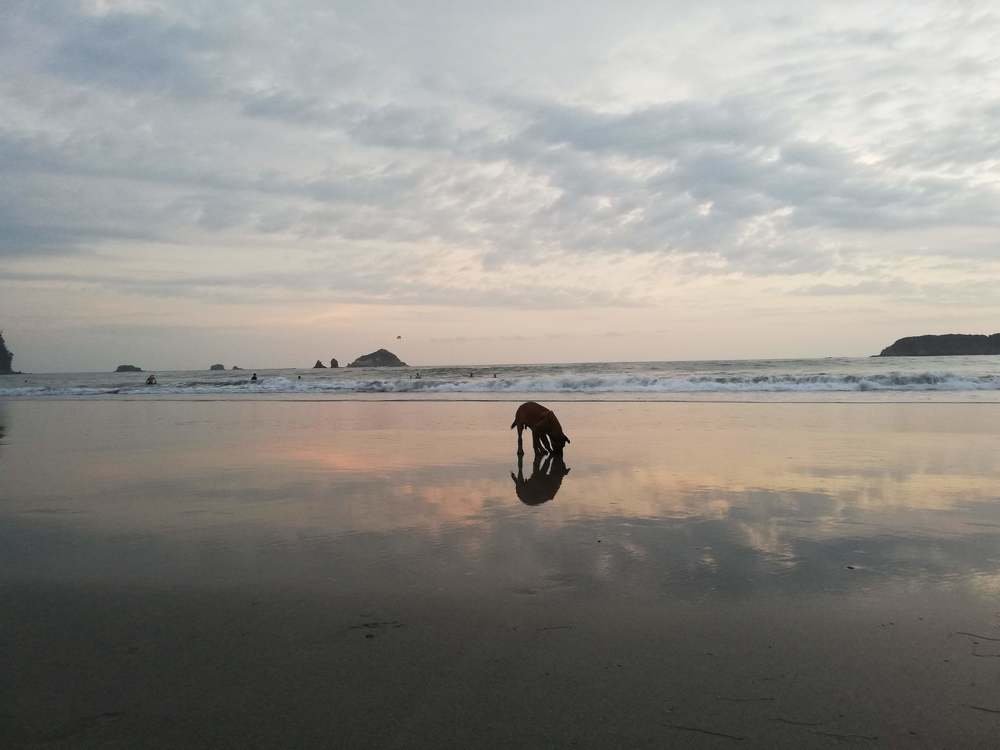 Photo #4697999