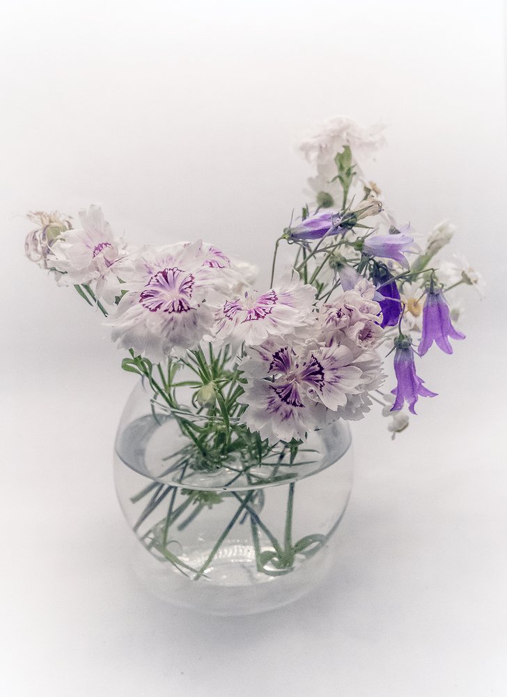 Photograph by Alex Kalpus