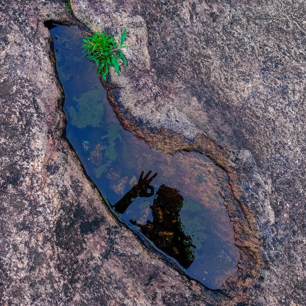 Kerala - The God's Own Country.