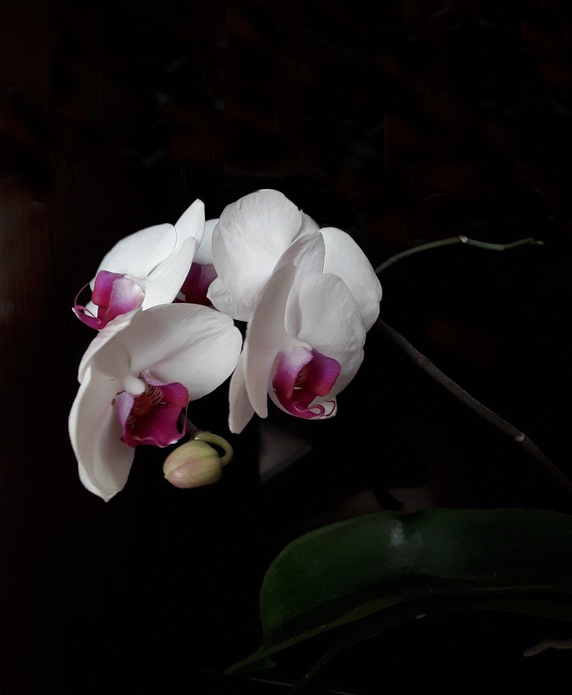 Photograph by Елена Шерман