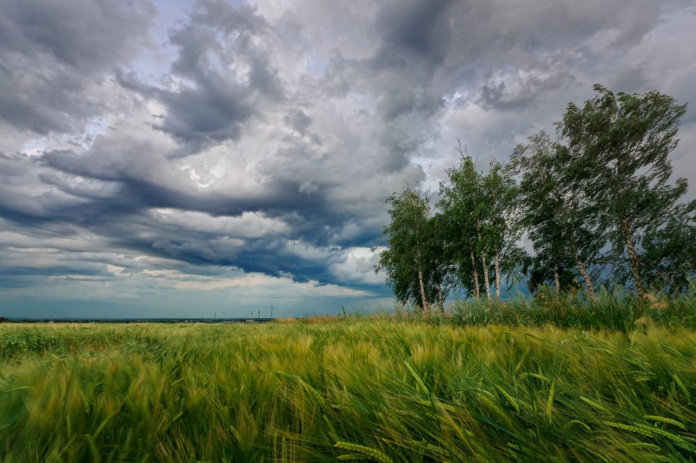 Photograph by Павел Абакумов