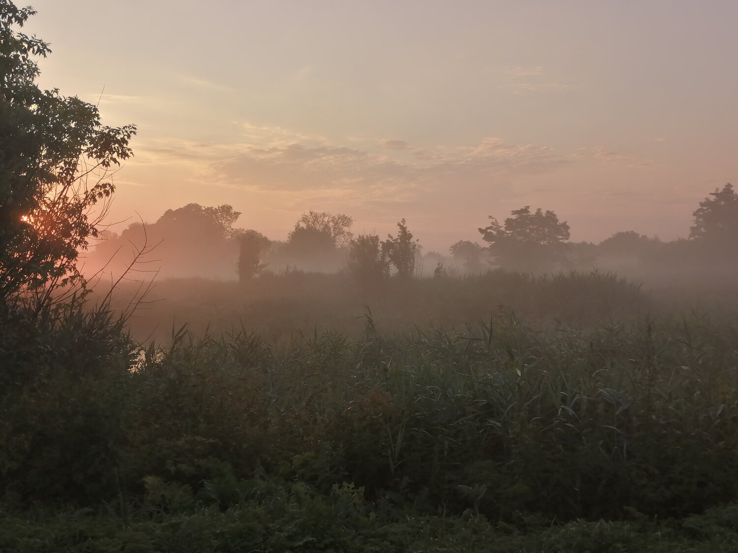 Photo #4698135
