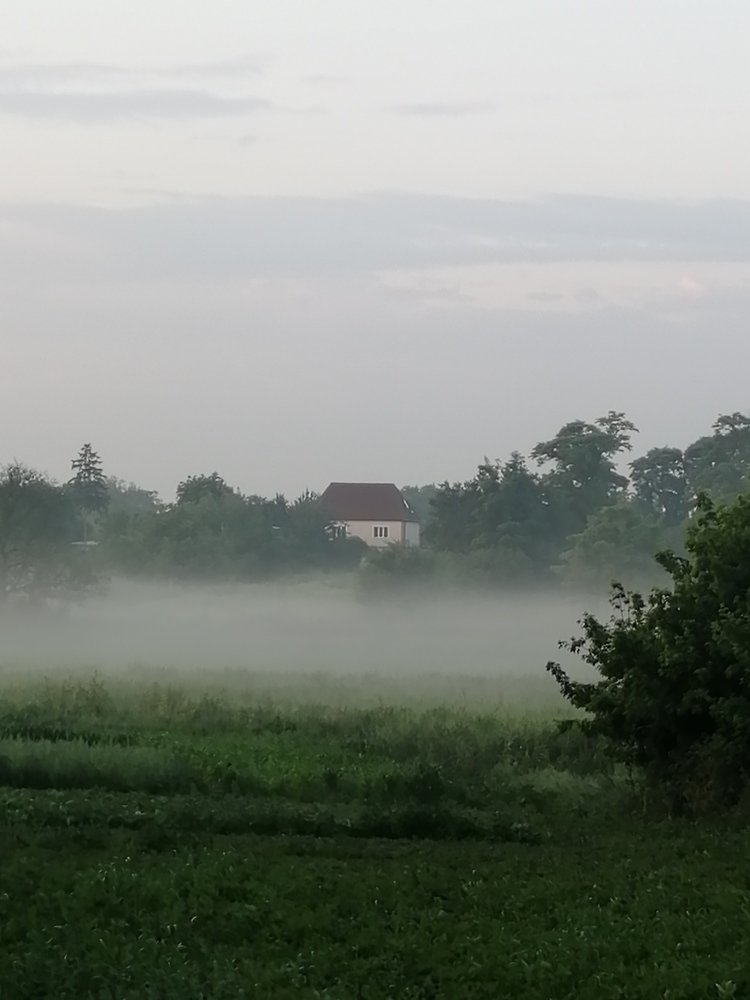 Photograph by Александр Симонов