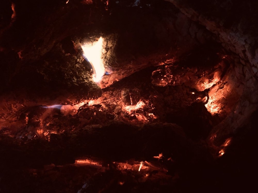 Photograph by Kenric Adam