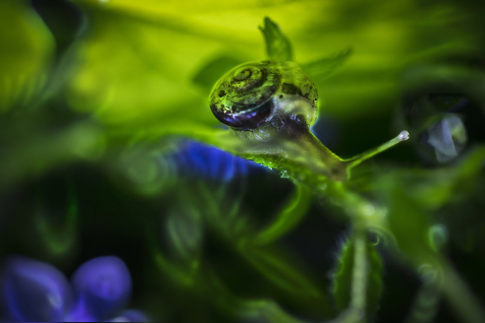 Photograph by Дериглазова Марина Владимировна