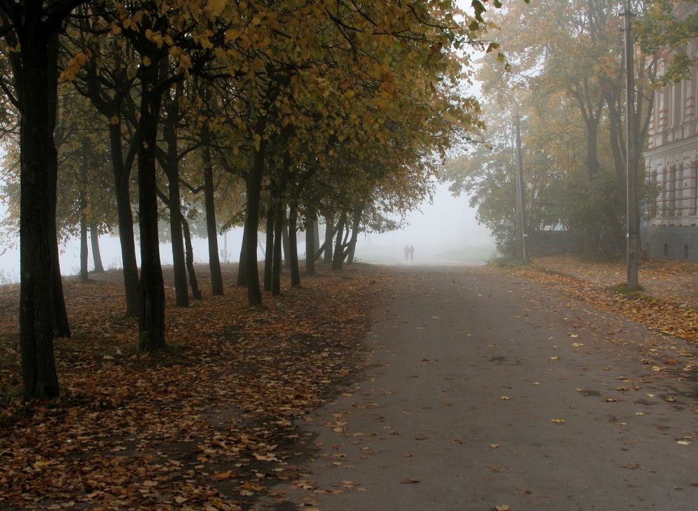 Photograph by Андрей Царев