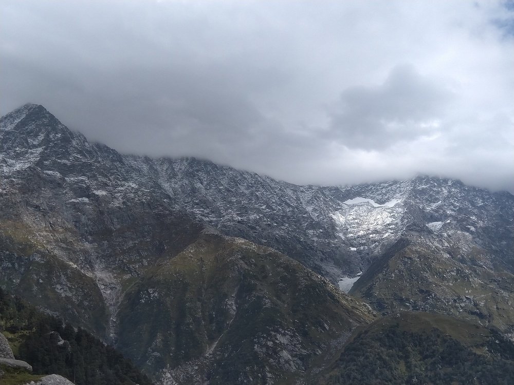 Photo #4698302