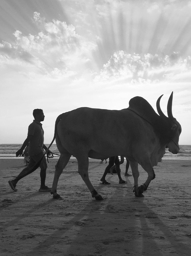 India