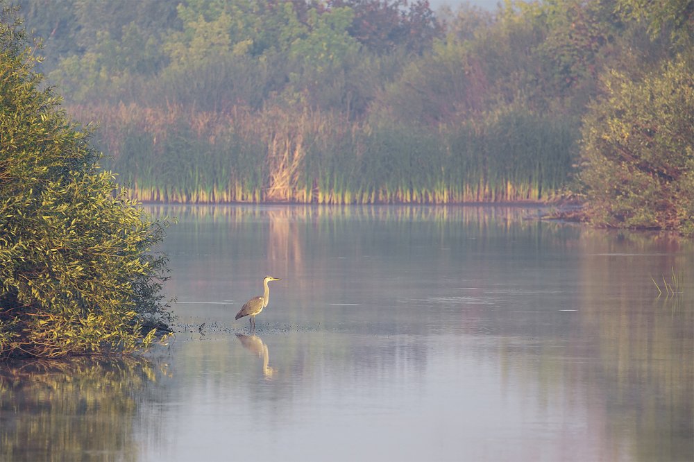Photograph by Александр Малышев
