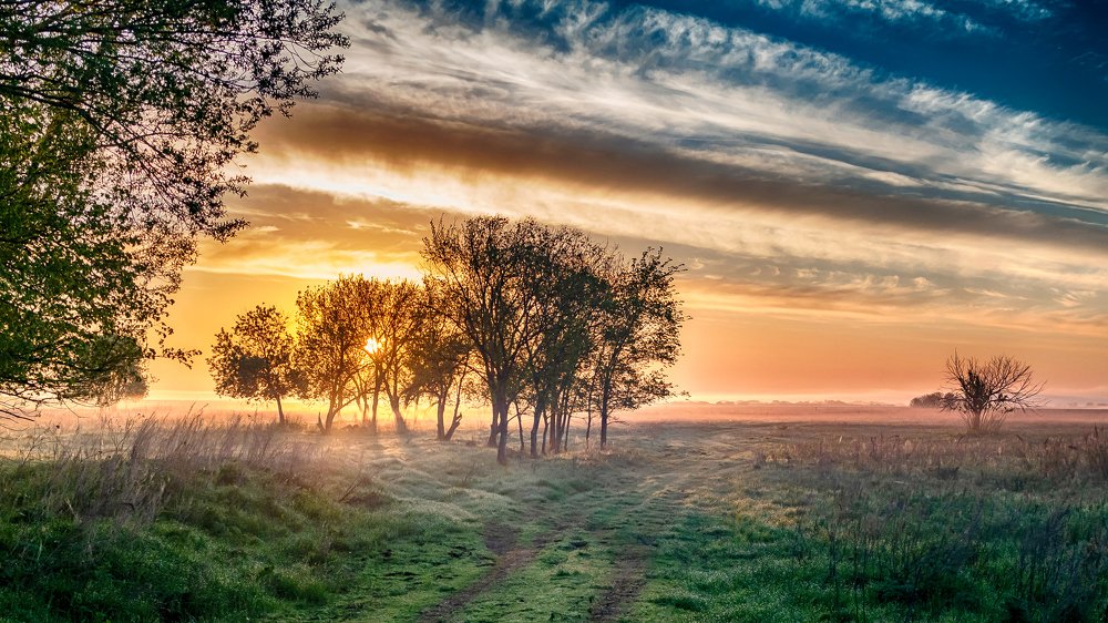Photograph by Александр Малышев