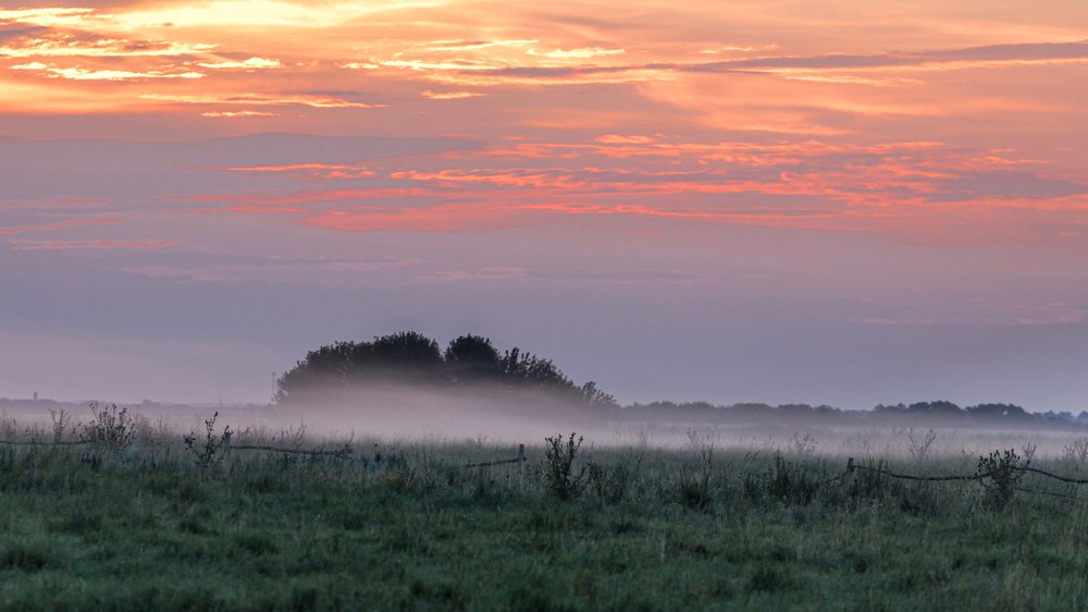 Photograph by Александр Малышев