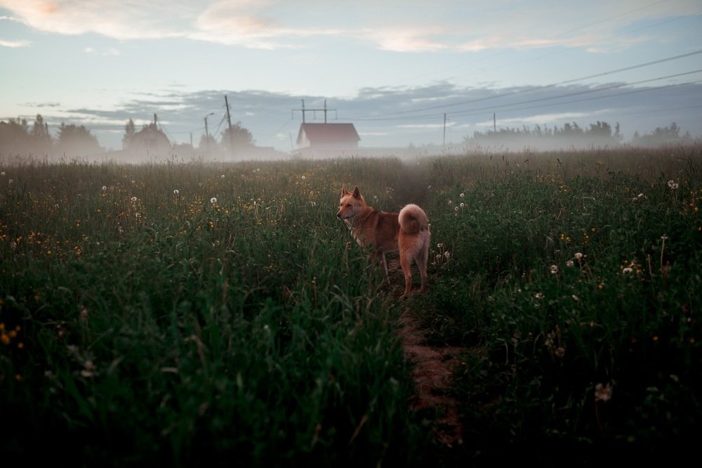 Photograph by Руслан Яковлев