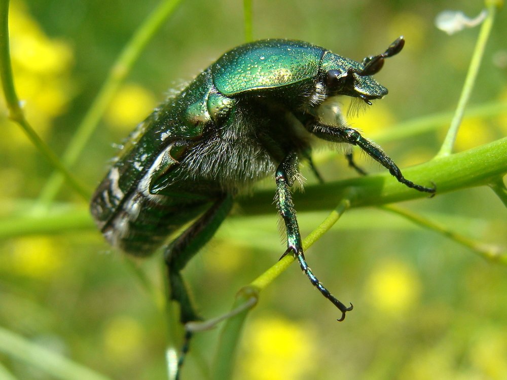 Фотография автора Павел Попов