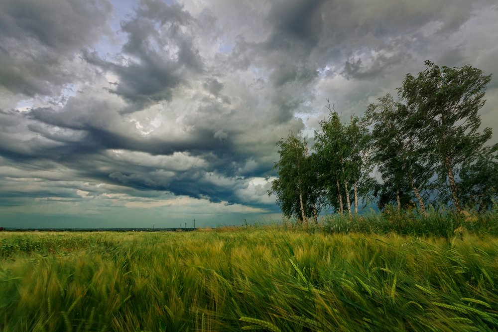 Photograph by Павел Абакумов