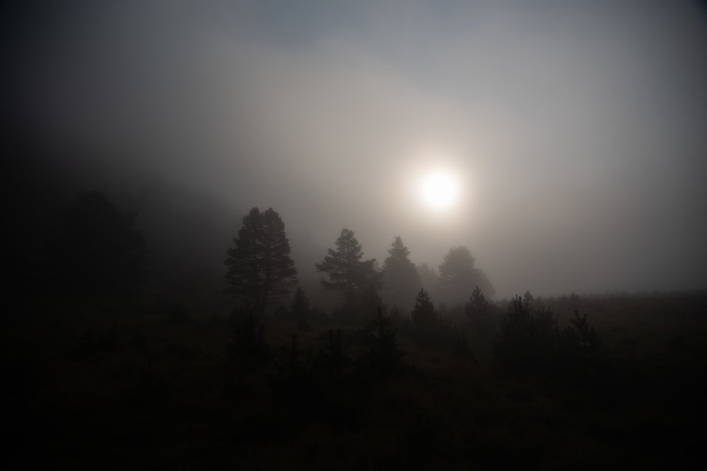 Photograph by Юрий Тарасов