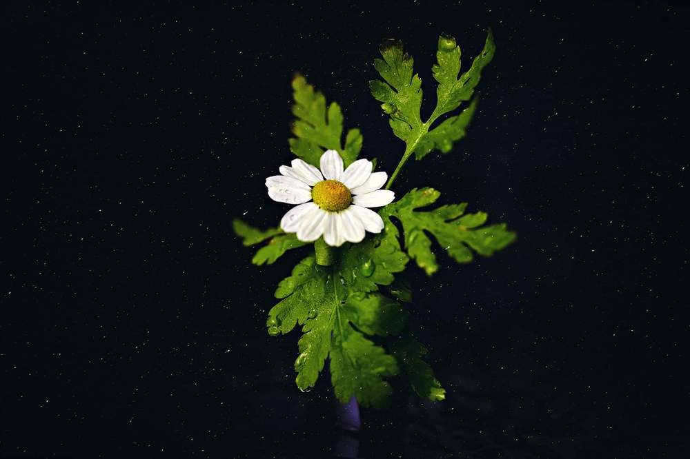 Photograph by Aida Makhmudova