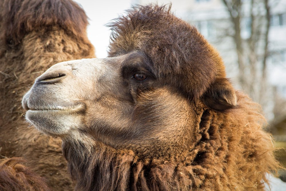 Photograph by Лилия Корж