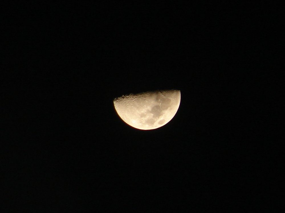 Moonlight