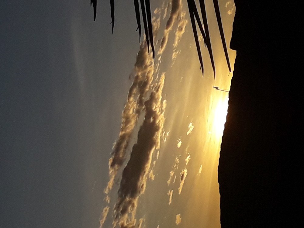 heavenly show