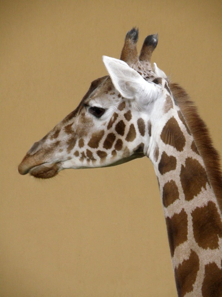 Photograph by Лилия Корж