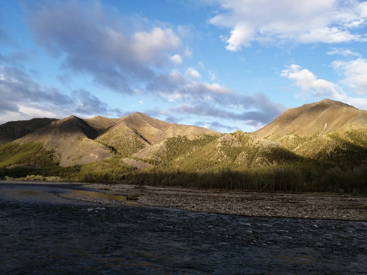 Photo #4699015