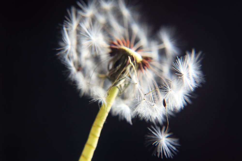 Photograph by Анна Михеева