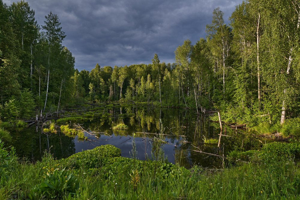 Photograph by Андрей Колеватов