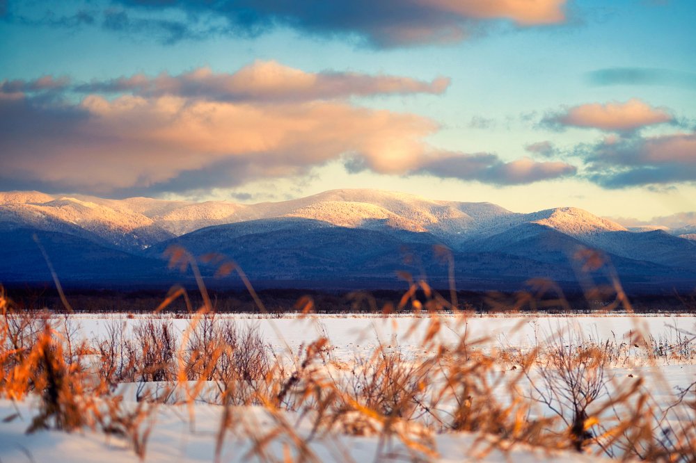 Photograph by Роман Ласун