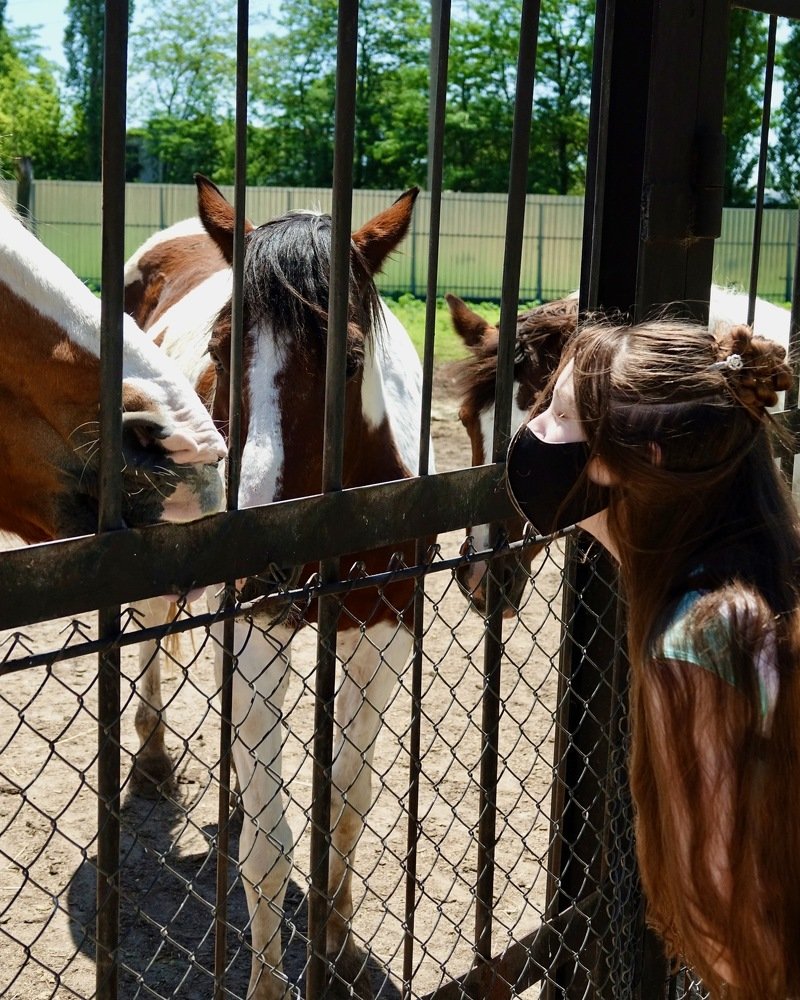 Photograph by Наталья Пирогова