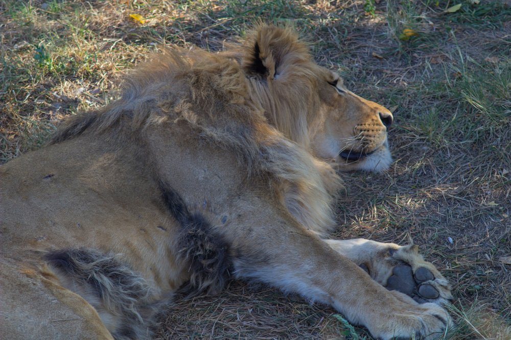 Photograph by Любовь Головина