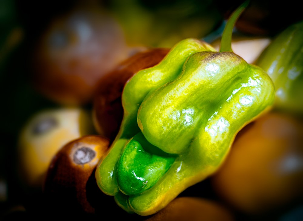 The shadow of your smile