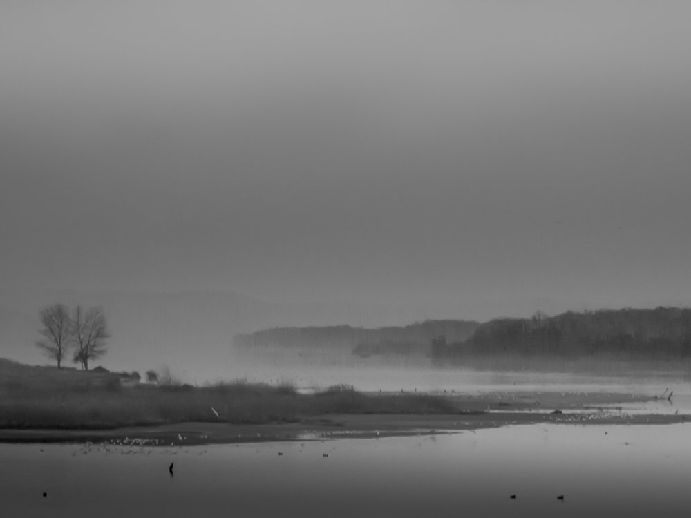 Photograph by Irina Magdalena Bivolaru