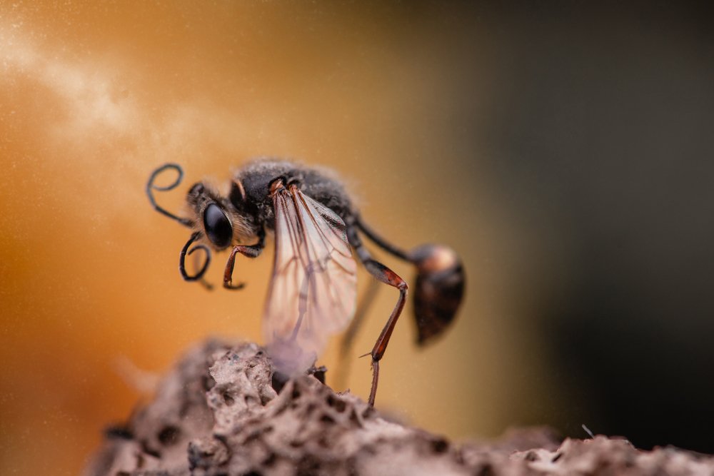 Photograph by Алексей Карпинчик