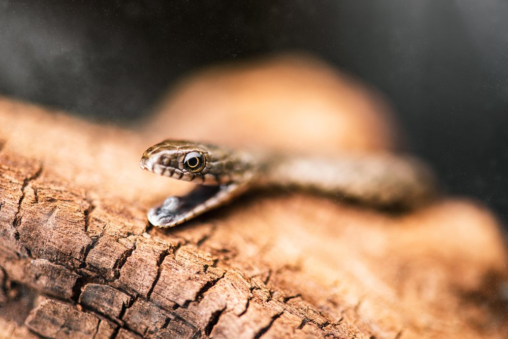 Photograph by Алексей Карпинчик