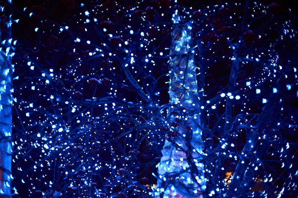 Фотография автора Игорь Игоревич