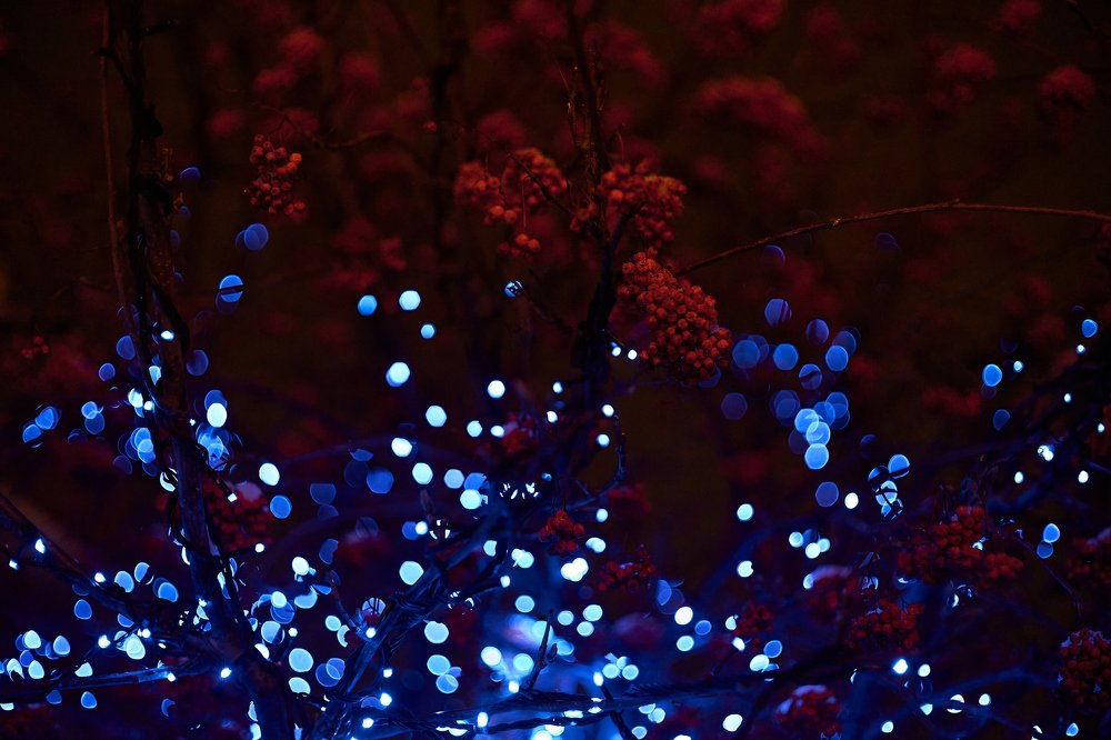 Фотография автора Игорь Игоревич