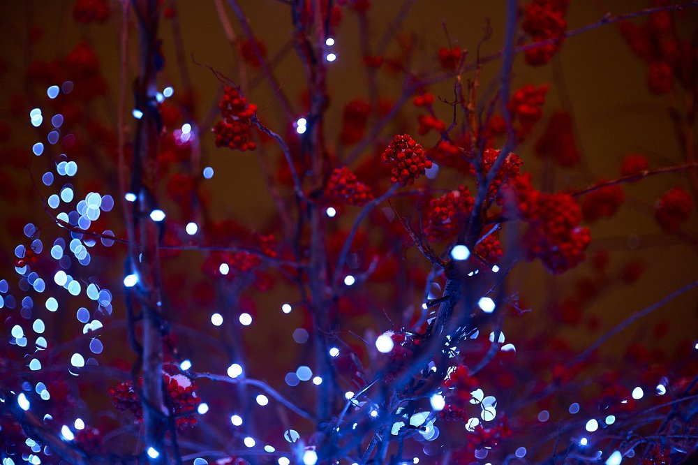 Фотография автора Игорь Игоревич