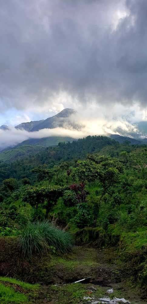 Photograph by EDY Maldonado