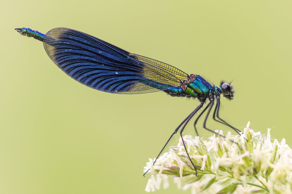 Фотография автора Юрій Стороженко