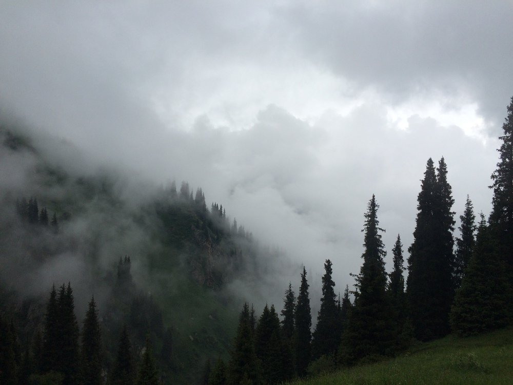 Вид с Орлиного гнезда.