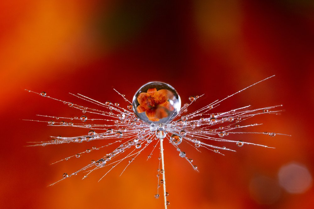 Photograph by Иван Радьков