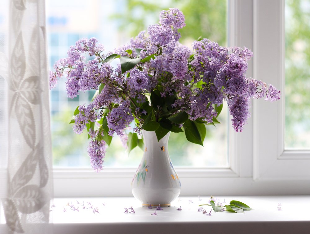 Photograph by Екатерина Вспышкина