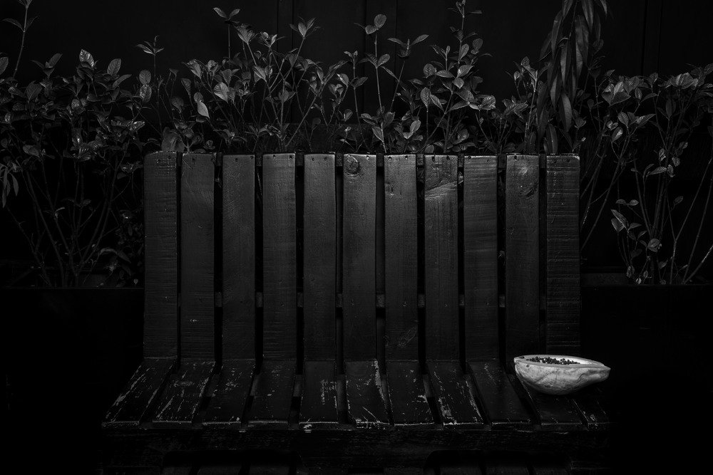 Photograph by Pauli Pamela Paternina Garcia